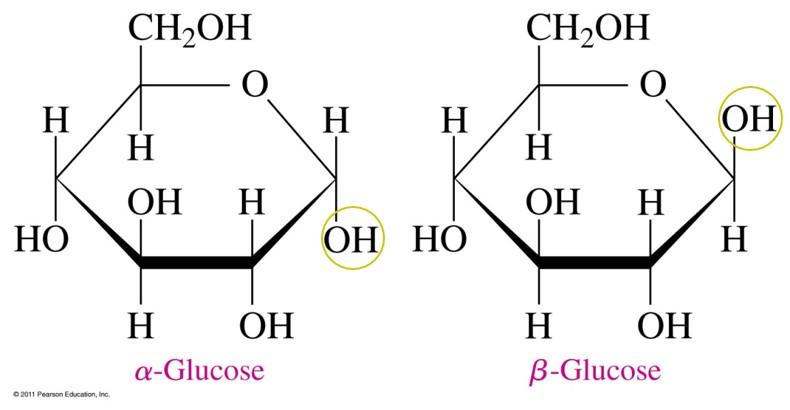 Image result for alpha and beta glucose