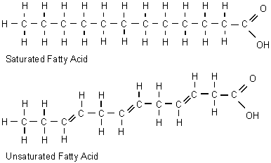 http://study.com/cimages/multimages/16/saturated_and_unsaturated_fatty_acids.gif