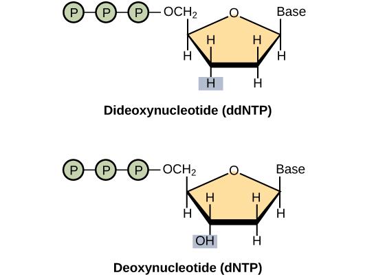 Figure_17_03_01